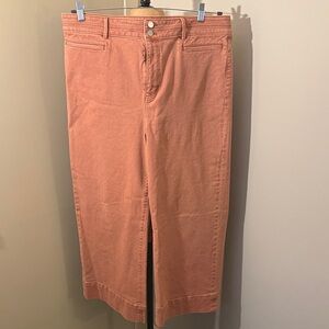 Ann Taylor Terracotta Wide Leg Pants